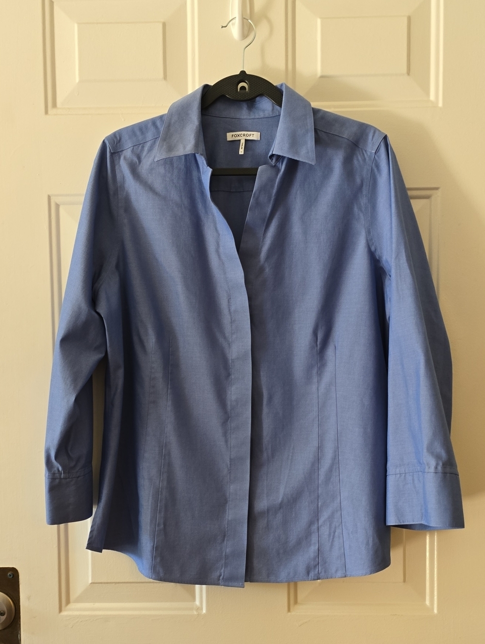 Foxcroft Blue Hidden-Placket Shirt